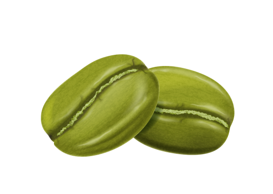 Alt image